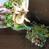 Biotonne: Ein teurer Irrsinn?