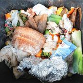 Biotonne sorgt für viele offene Fragen
