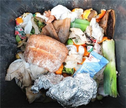 Frühestens 2025 wird in Rosenheim eine Biotonne eingeführt. Foto dpa