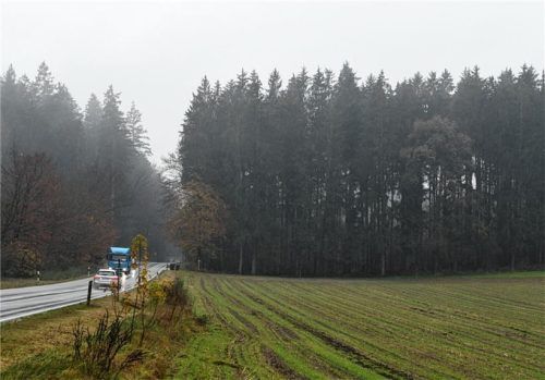 In diesem Waldstück südlich von Straßöd an der Staatsstraße soll ein 50 Meter hoher Funkmast entstehen. Der Gemeinderat sucht Alternativen. Foto Schlecker