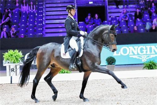 Starke Leistung von Benjamin Werndl und Famoso OLD: Das Paar erreichte im Grand Prix hinter Schwester Jessica den 2. Platz und in der Kür Platz vier. Foto Flora Keller