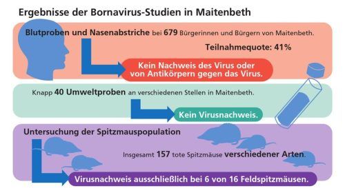 Unsere Grafik zeigt die Untersuchungsergebnisse der BOSPEK-Studie.Klinger