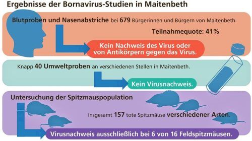 Unsere Grafik zeigt die Untersuchungsergebnisse der BOSPEK-Studie.Klinger