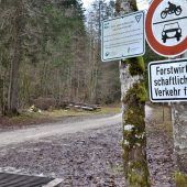 Säugling getötet und im Wald abgelegt