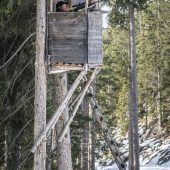 Auf der Pirsch mit dem Gamsjäger