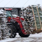 Viele Bäume, weniger Sekt