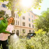 Kein Gieß-Programm für die Stadtbäume