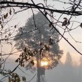 Sonne durchbricht Nebelschleier