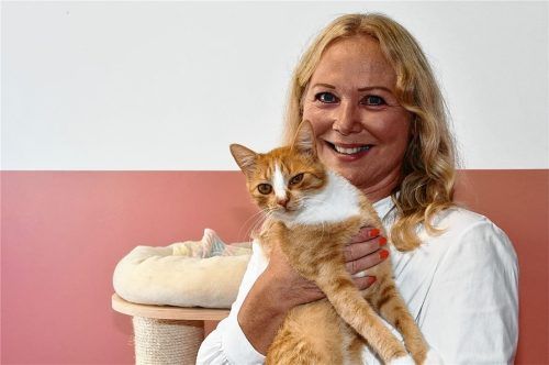 Andrea Thomas, Vorsitzende des Tierschutzvereins Rosenheim, spricht sich für die Kastration von Katzen aus.Foto Schlecker