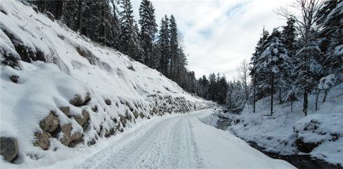 Bauarbeiten abgeschlossen: Der Weg von Brannenburg zur Schlipfgrubalm ist wieder frei und gesichert. Foto aelf