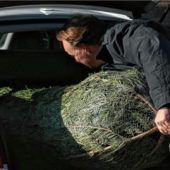 Bekenntnis zum heimischen Christbaum