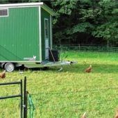 Geld für Nussknackmaschine