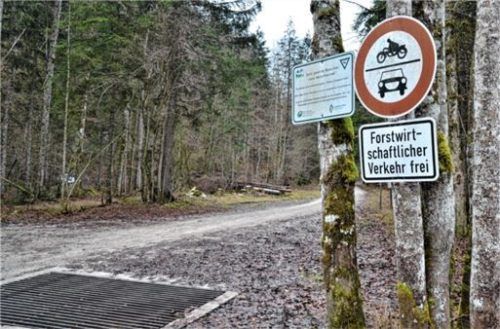 Der Ort des Geschehens: In der Nähe dieses Parkplatzes zu Füßen des Seekopfs wurde der tote Säugling abgelegt. Foto Eichstädter