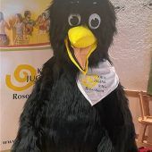 Ehrenamtliche nicht verheizen