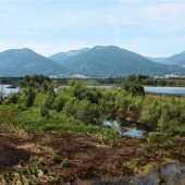 Vorbildhafte Renaturierung