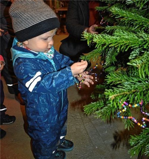 Die Sprösslinge der Kindertageseinrichtung „Mäusebande“ schmücken den Christbaum mit Herzenswunsch-Sternen für die Aktion „Grabenstätter Christkindl“ im Getränkemarkt Schwarz in Erlstätt.Foto müller