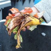 Holsystem für Biomüll treibt die Gebühren gewaltig in die Höhe