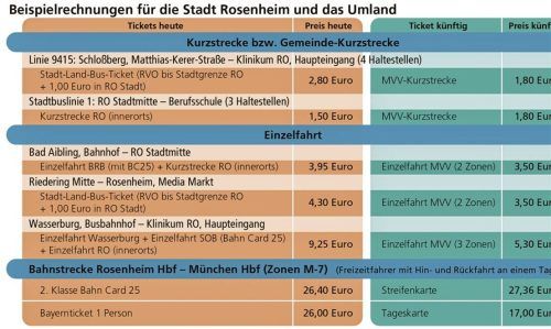 Eine Übersicht über die aktuellen Preise und wie sich diese nach einem MVV-Beitritt verändern würden. Foto Verena Klinger