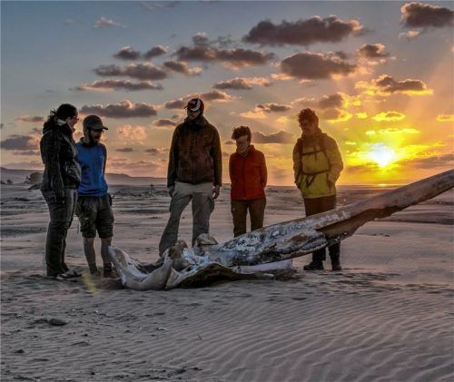 In Marokko sind weiße Strände Balsam für Auge, Körper und Seele. Fotos Wikinger reisen