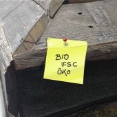 Nachhaltigkeit bei Bestattungen