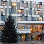 Wirbel um den Weihnachtsbaum am Rathaus