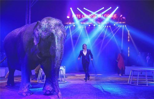 Vom 23. Dezember 2022 bis zum 8. Januar 2023 soll der Weihnachtszirkus nach Rosenheim auf die Loretowiese kommen. Foto Folco Palace