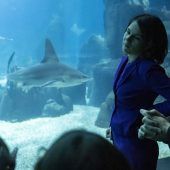 In schwierigen Gewässern