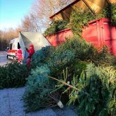 Christbaum-Geld gestohlen