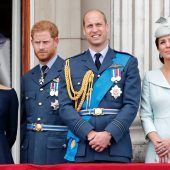 Prinz Harry feuert aus allen Rohren