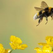Frühstart in den Frühling