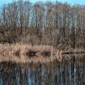 Bei einem Spaziergang an der Mangfall Pläne für das noch junge Jahr 2023 schmieden