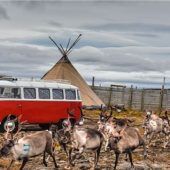 Bulli-Abenteuer – Von Lissabon nach Lappland