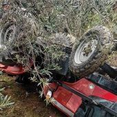 Bruckmühler (70)stirbt bei Oliven-Ernte