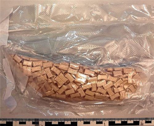 Fahnder der Rosenheimer Bundespolizei haben bei Kontrollen in einem italienischen Reisebus in Kiefersfelden rund 300 Ecstasy-Tabletten sichergestellt. Foto  Bundespolizei