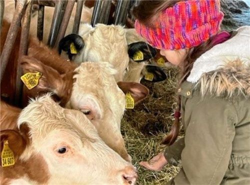 FitZ-Angebote stärken Körper, Geist und Seele.