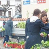 Es geht voran!