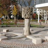 Lebensbaum spendet Energie