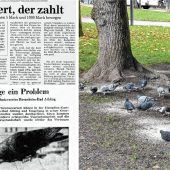 Von Taubenmutterln, Gift und Bußgeld