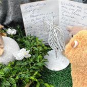 Noch kein Durchbruch im Fall des getöteten Säuglings