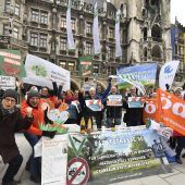 Stadtrat gibt Grünflächen mehr Gewicht