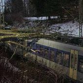 Baum stürzt auf Zug: Bahnstrecke nach Salzburg gesperrt