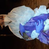 Gans mit Geflügelpest