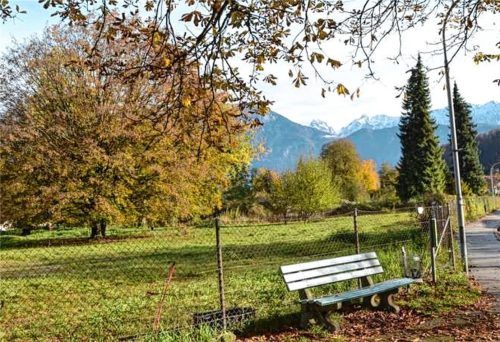 „Am Heimfeld“ sollen in absehbarer Zeit Einzel- und Doppelhäuser entstehen. Foto Lotter/Re