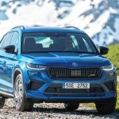 Bei Skoda ist der Bär los