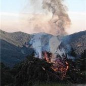 Daxenfeuer jetzt über Netz melden