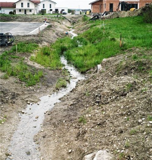 Der freigelegte Franzosenbach im neuen Baugebiet hat ein naturnahes Bett erhalten.