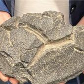 Nach der „Eiszeit“ wird es jetzt heiß