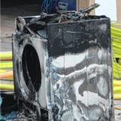 Meerschweinchen gerettet