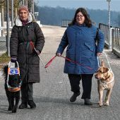 Hundeärger beim Hundeflüsterer
