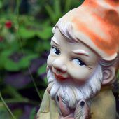 Das kleine Glück im Grünen